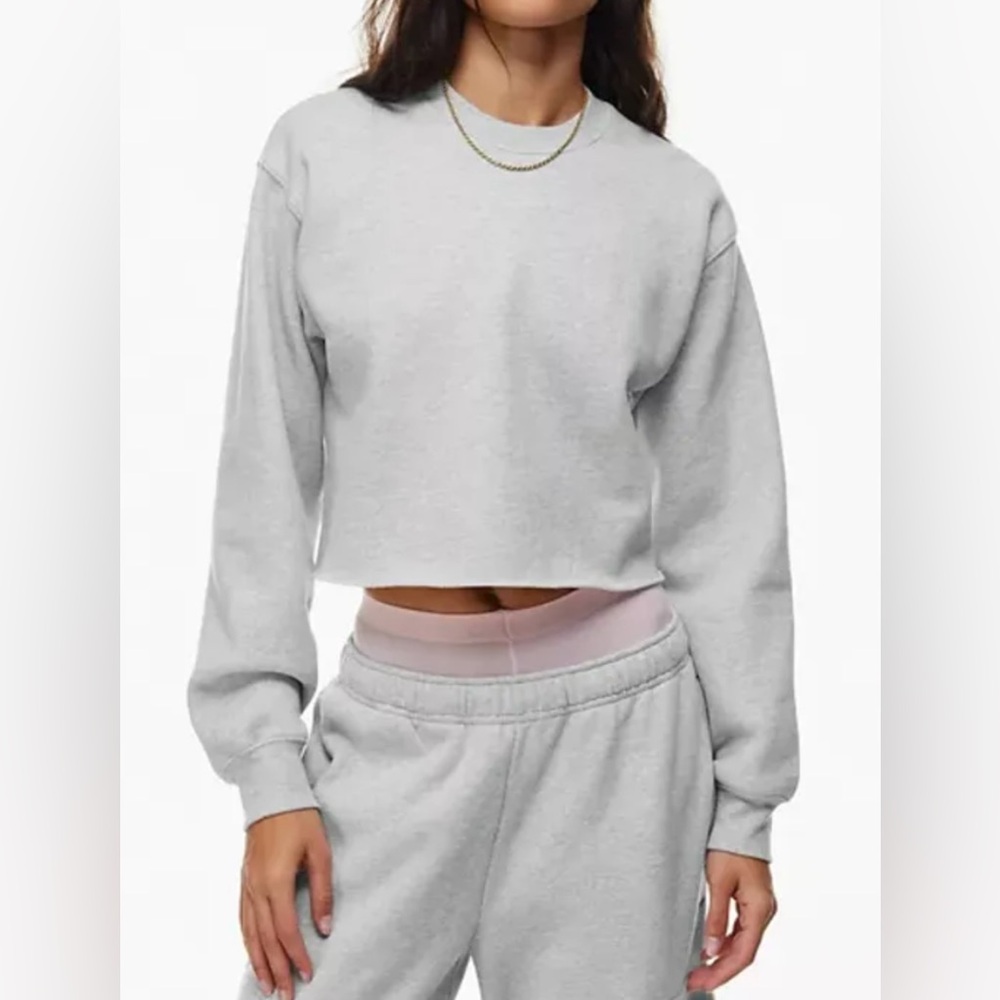 Aritzia TNA Sweatfleece Cozy Fleece Cropped Raw Hem In Light Gray Size 2XL - Picture 1 of 13